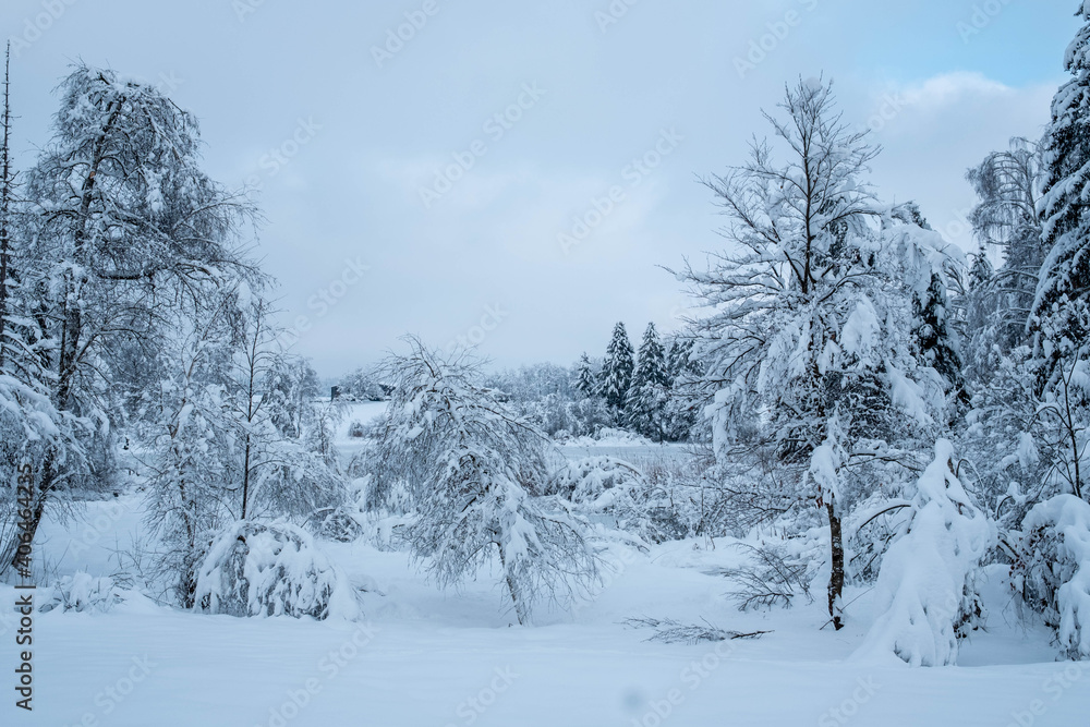 Winterwonderland auf dem Land Winterwonderland auf dem Land