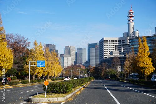 Autumn in Chiyoda city Tokyo Japan photo