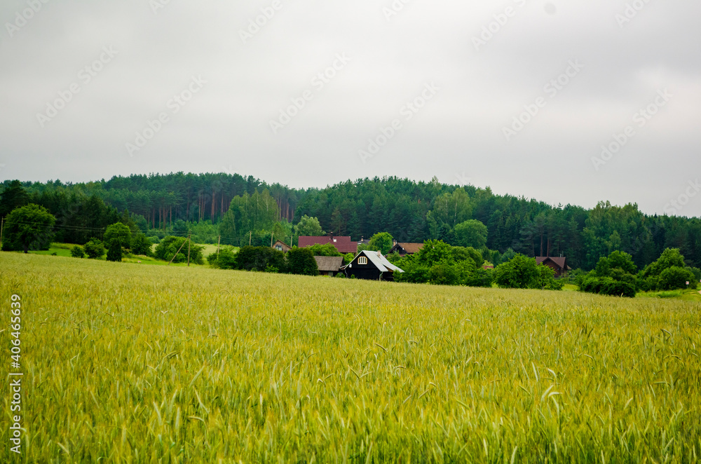 landscape of fields and villages .