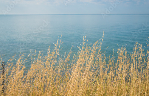 Summer holidays destinations. Seascape on sunny day. Dry grass on coastline