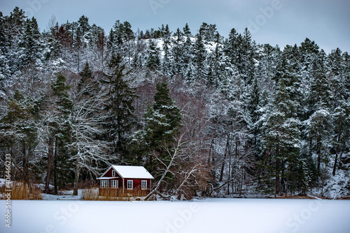 Canvas Print house in the forest, nacka, sverige, sweden, stockholm
