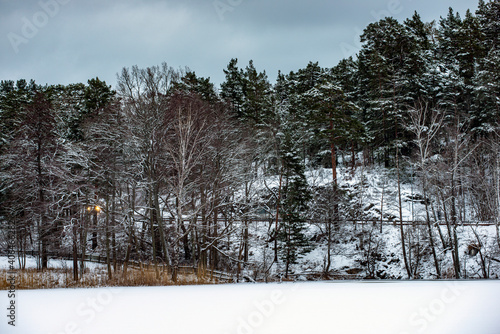 Photography winter landscape with trees, nacka, sverige, sweden, stockholm