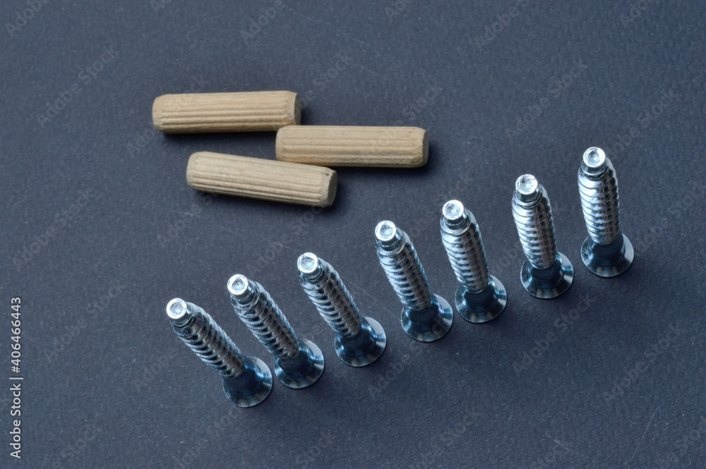 furniture screw and wooden dowel. lie on a dark background. close-up. furniture screw and wooden dowel. lie on a dark background. close-up.