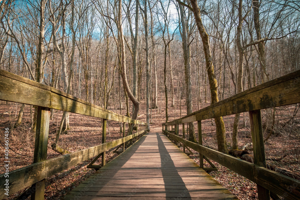 Low angle perspective on a wooden bridge on a trail at Radnor Lake State Park, Nashville, Tennessee. Low angle perspective on a wooden bridge on a trail at Radnor Lake State Park, Nashville, Tennessee.