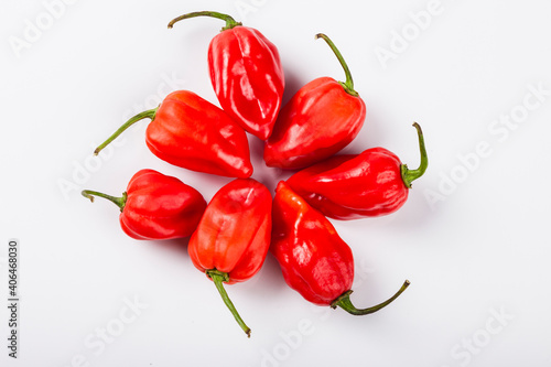 Tableau sur toile Red habanero extra hot chilli