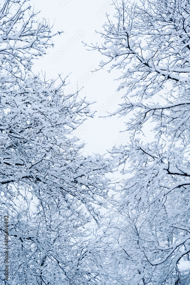 Winter snow storm in Montreal Canada on Jan 15, 2021 Winter snow storm in Montreal Canada on Jan 15, 2021