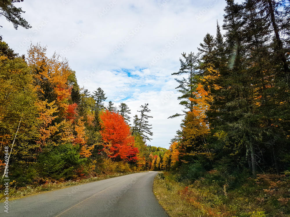 Road in Canada with autumn colors.