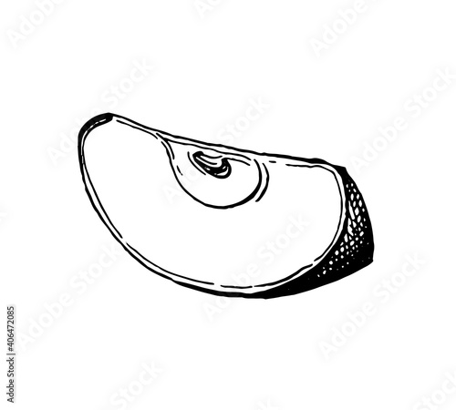 Ink sketch of apple.