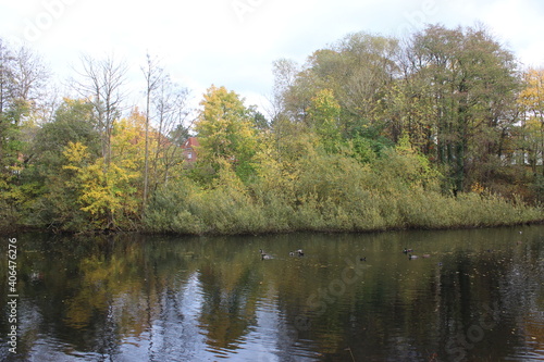 Teich im Herbst 3
