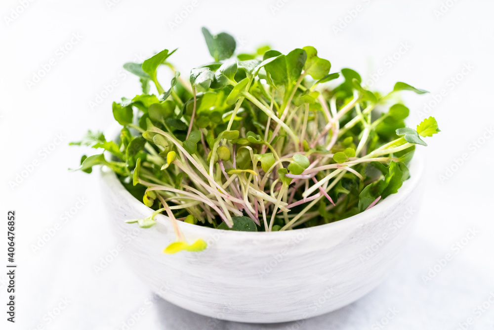 Microgreens Microgreens