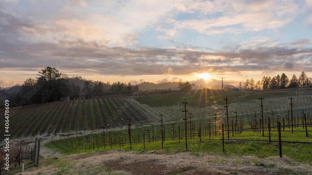 day to night Time-Lapse open field vineyard in Napa California sunsetting towards the mountains and clouds moving day to night Time-Lapse open field vineyard in Napa California sunsetting towards the mountains and clouds moving
