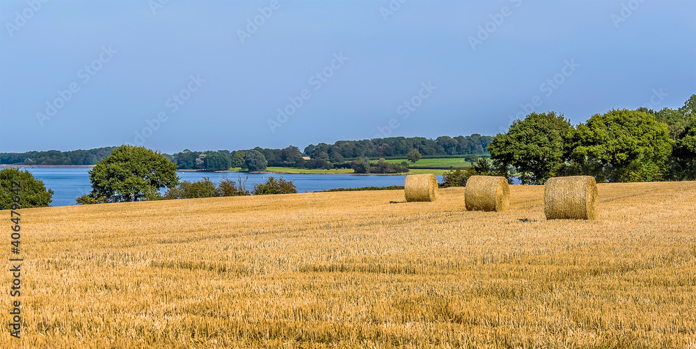 Gathering in the hay on the shores of  Rutland Water reservoir in summertime