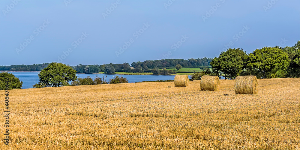 Fototapeta premium Gathering in the hay on the shores of Rutland Water reservoir in summertime