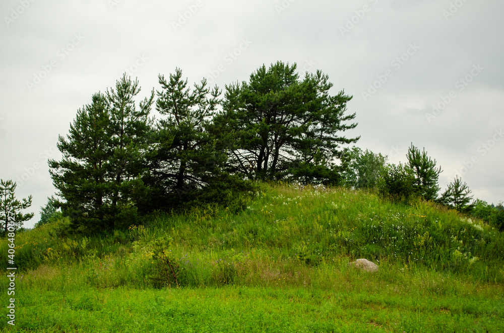 Obraz premium landscape field with hills and forests in summer .