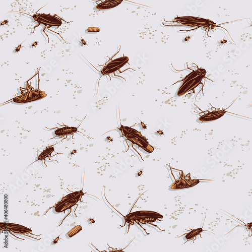 cockroach, drawing of a black and color cockroach, pattern