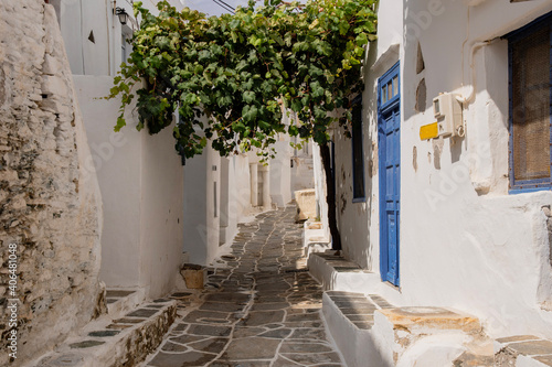 Bild auf Leinwand street in a greek village