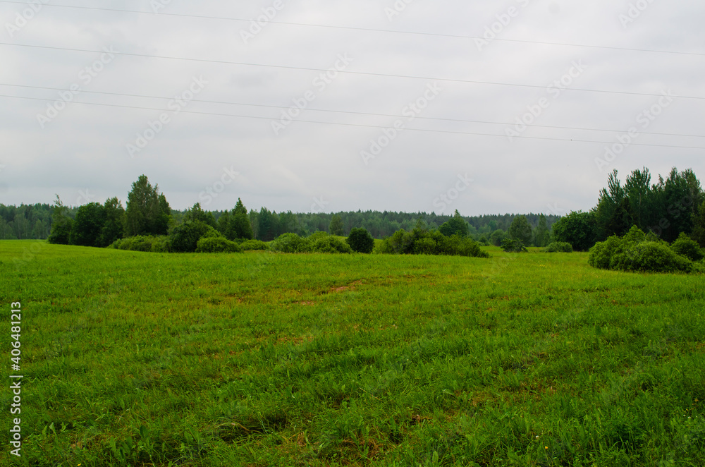 landscape field with hills and forests in summer .