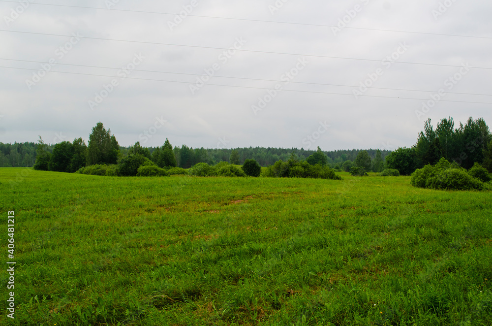 Fototapeta premium landscape field with hills and forests in summer .