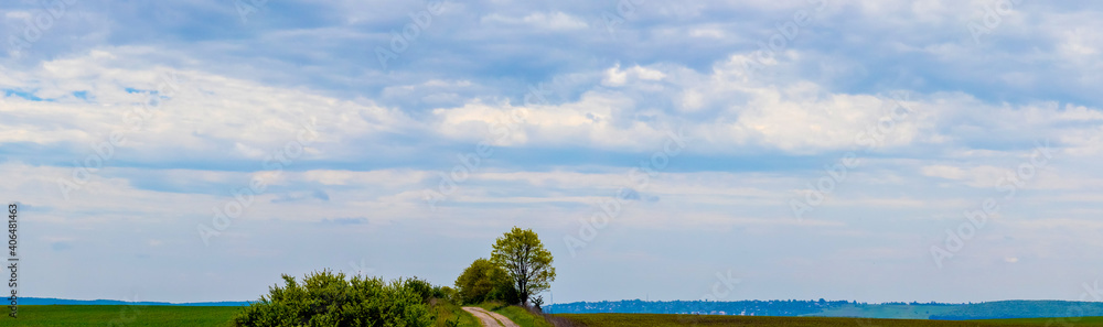 Summer landscape with a tree on a narrow strip of land and a blue sky with white clouds, panorama Summer landscape with a tree on a narrow strip of land and a blue sky with white clouds, panorama