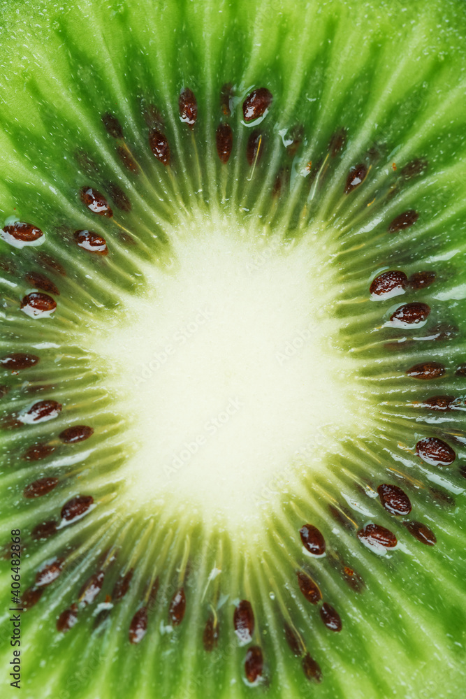 Slice of ripe kiwi fruit in full screen close-up. Slice of ripe kiwi fruit in full screen close-up.