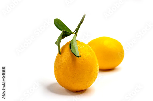 Lemons. Ripe yellow-orange fruits with green twigs and leaves. Textured crust. Healthy citrus. Close-up on a white background.