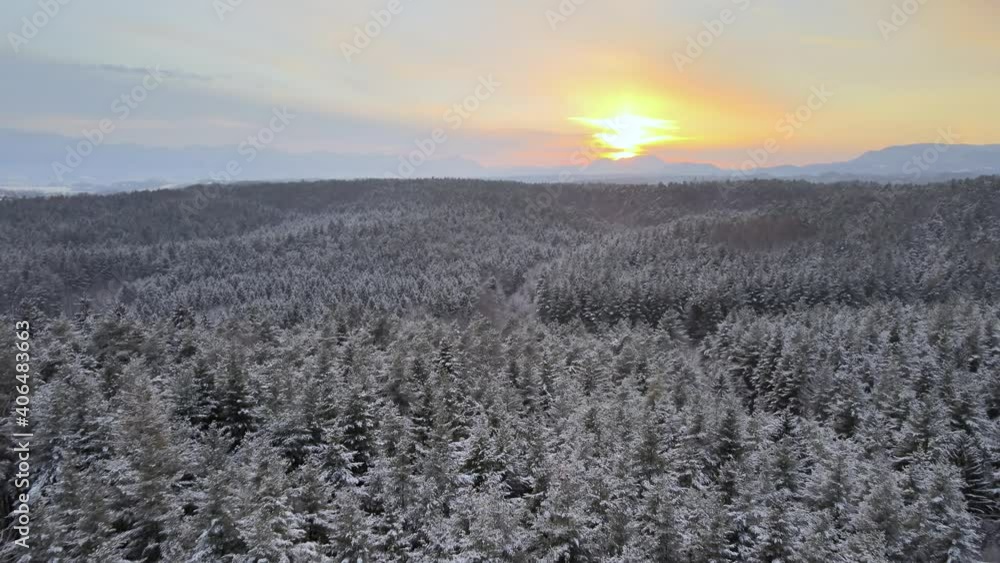 Aerial view of a frozen forest with snow covered pine trees and colorful sunset with mountain landscape. Winter season cold weather Aerial view of a frozen forest with snow covered pine trees and colorful sunset with mountain landscape. Winter season cold weather