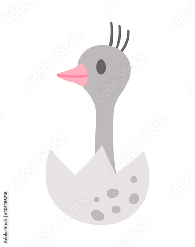 Vector ostrich nestling icon. Little African bird illustration. Cute just hatched animal sitting in egg shell isolated on white background. .