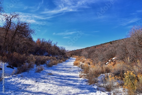 Fototapeta Naklejka Na Ścianę i Meble -  Winter snow mountain hiking trail views Yellow Fork Canyon County Park Rose Canyon by Rio Tinto Bingham Copper Mine, in winter. Salt Lake City, Utah. United States.
