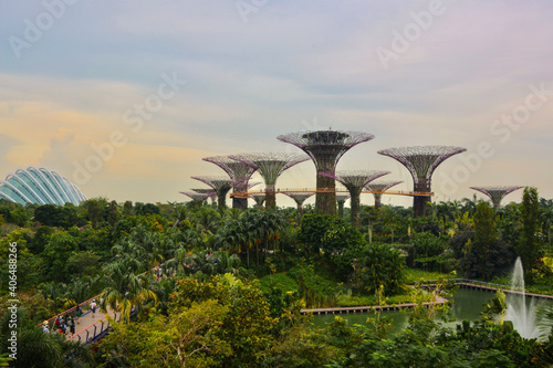 gardens by the bay in Singapore