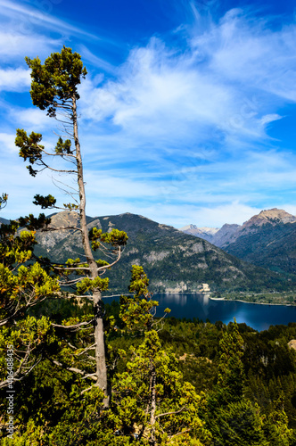 Lake in Bariloche in the summer of March. Sunny. Water and pine trees. photo