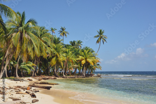 beach with palm trees on San Blas islands, Panama