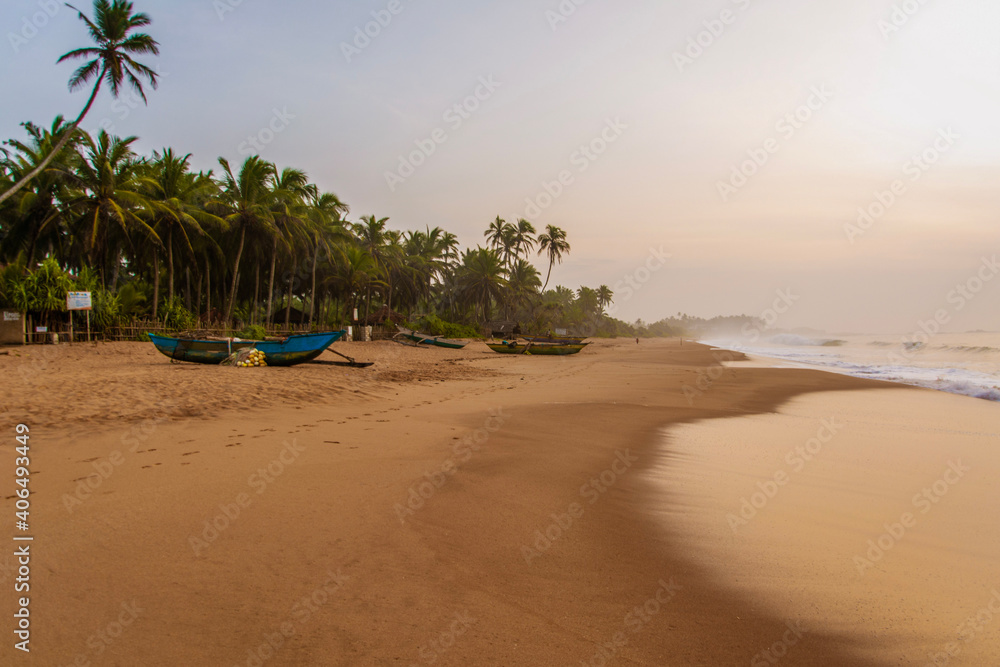 beach with palm trees and boat on Sri Lanka