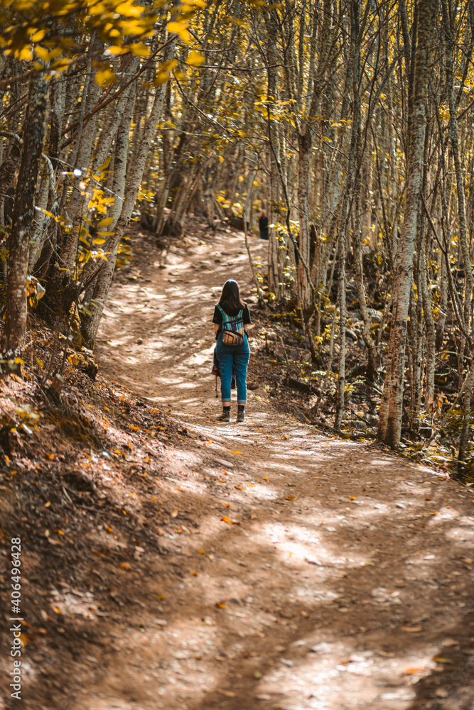 Woman Hiking Through A Dense Forest, outdoor therapy