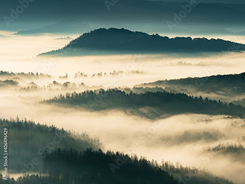 Fototapeta Naklejka Na Ścianę i Meble -  Fog flowing  over forest valley. Misty mountain landscape