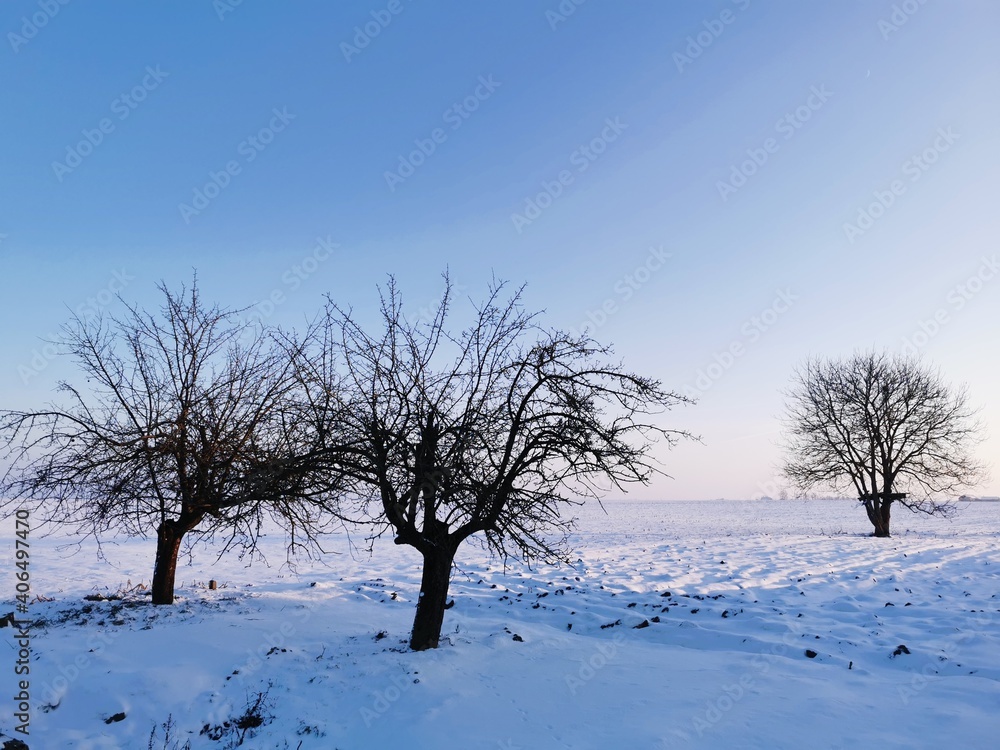 Cold and snowy winter on Paluki in northwest Poland. Cold and snowy winter on Paluki in northwest Poland.