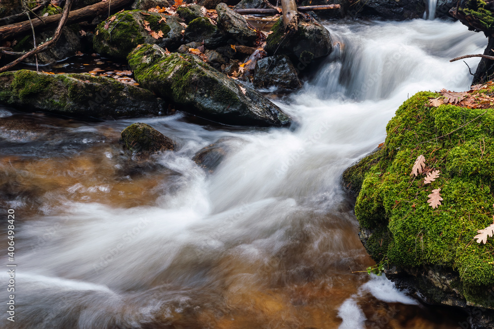 waterfall in the forest