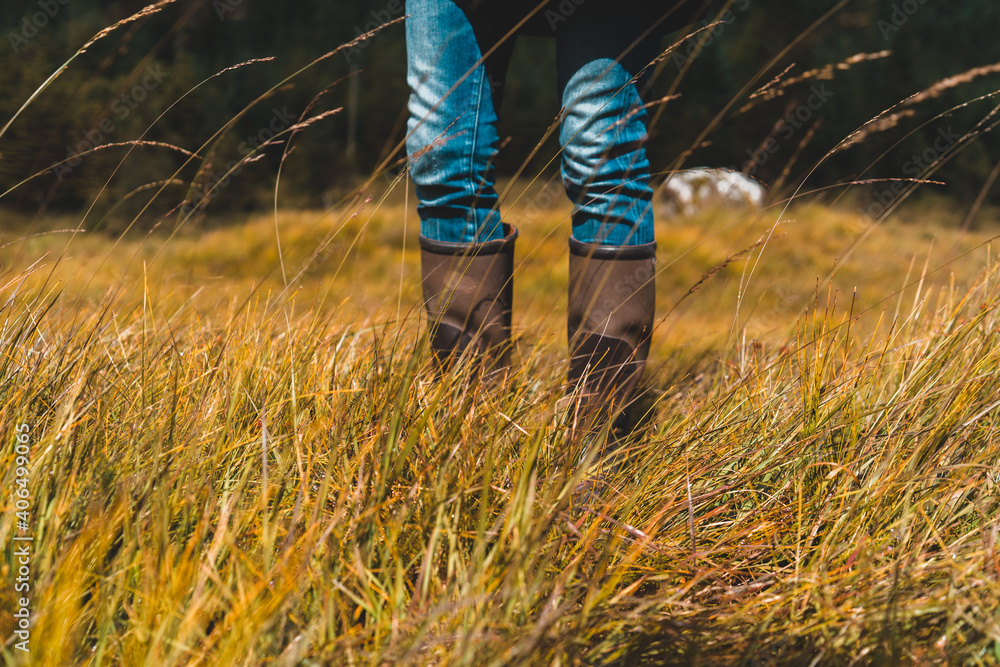 Person walking in high grass in Scotland Boots on Person walking in high grass in Scotland Boots on