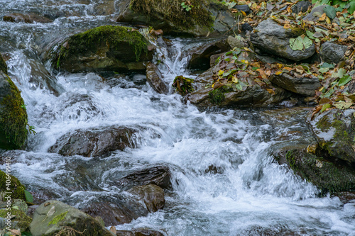 Mountain Beshenka river among stones and trees in Krasnaya Polyana near Sochi. Beautiful landscape rapid river with small waterfalls.