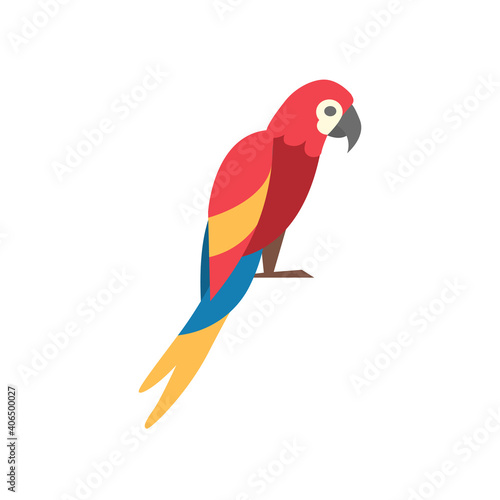 Macaw parrot. Vector icon