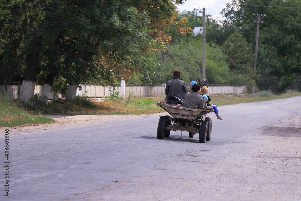 rustic horse cart transports people, countryside rustic horse cart transports people, countryside