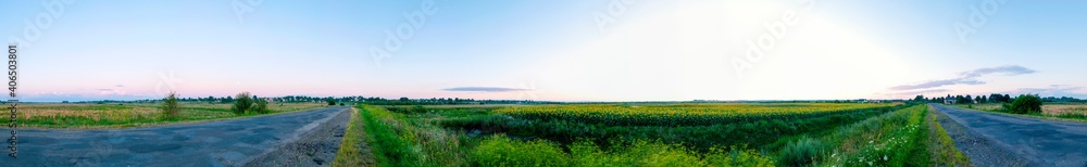 Obraz premium Sunflower field in the afternoon. Panorama of beautiful nature landscape. Farm field idyllic scene