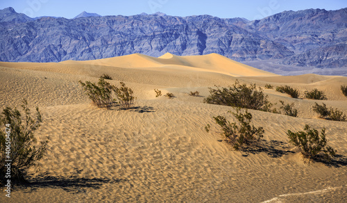 Mesquite Flat Sand Dunes Afternoon Landscapes  Death Valley National Park  California