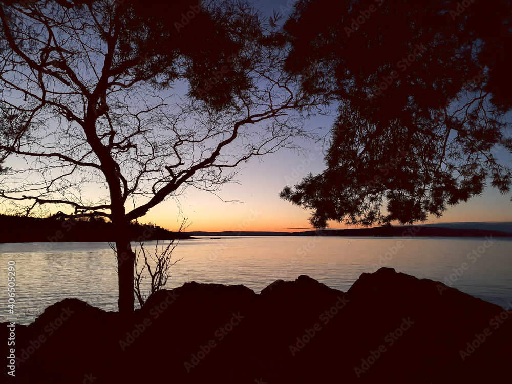 tree silhouette against the rising sun - Lysaker