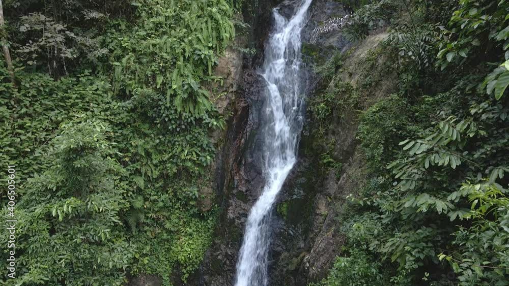 Pan up shot, lush jungle waterfall with tropical vegetation surrounding Pan up shot, lush jungle waterfall with tropical vegetation surrounding