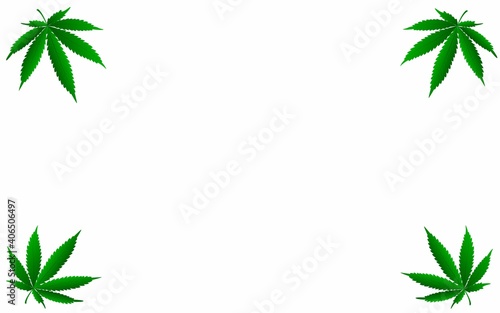 Blank for designers with copy spice with marijuana leaves on a white background.