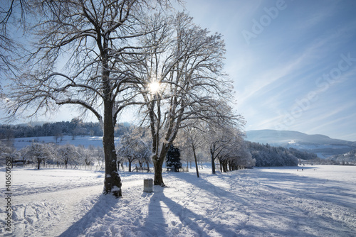 Kirchzarten mit Sonne und mit Schnee im Winter am Giersberg © SGoldschmidt