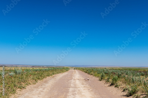 Wide grassland landscape of Kazakhstan, Central Asia