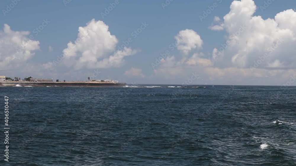A shot of seagulls floating on the ocean. some seagulls are flying above. Filmed from a Catamaran with a Canon 200D on a Zhiyun-Tech Crane 2. A shot of seagulls floating on the ocean. some seagulls are flying above. Filmed from a Catamaran with a Canon 200D on a Zhiyun-Tech Crane 2.