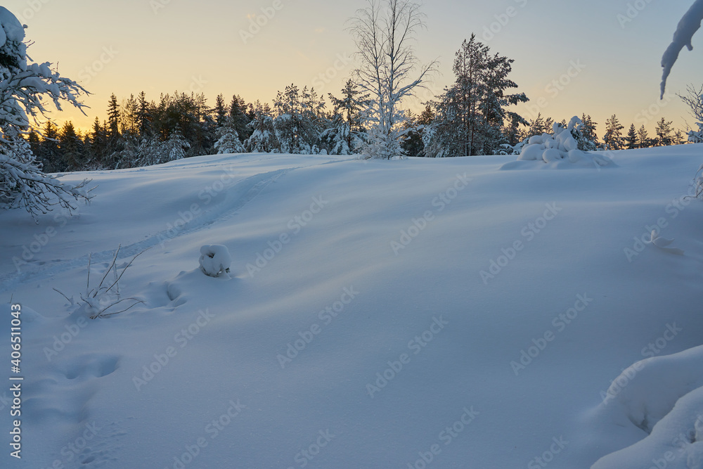 A snow-covered clearing in the woods at sunset.