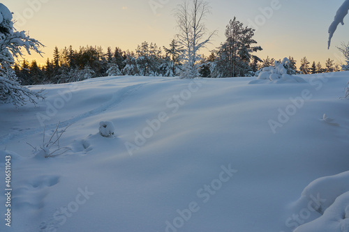 A snow-covered clearing in the woods at sunset. © Arthur